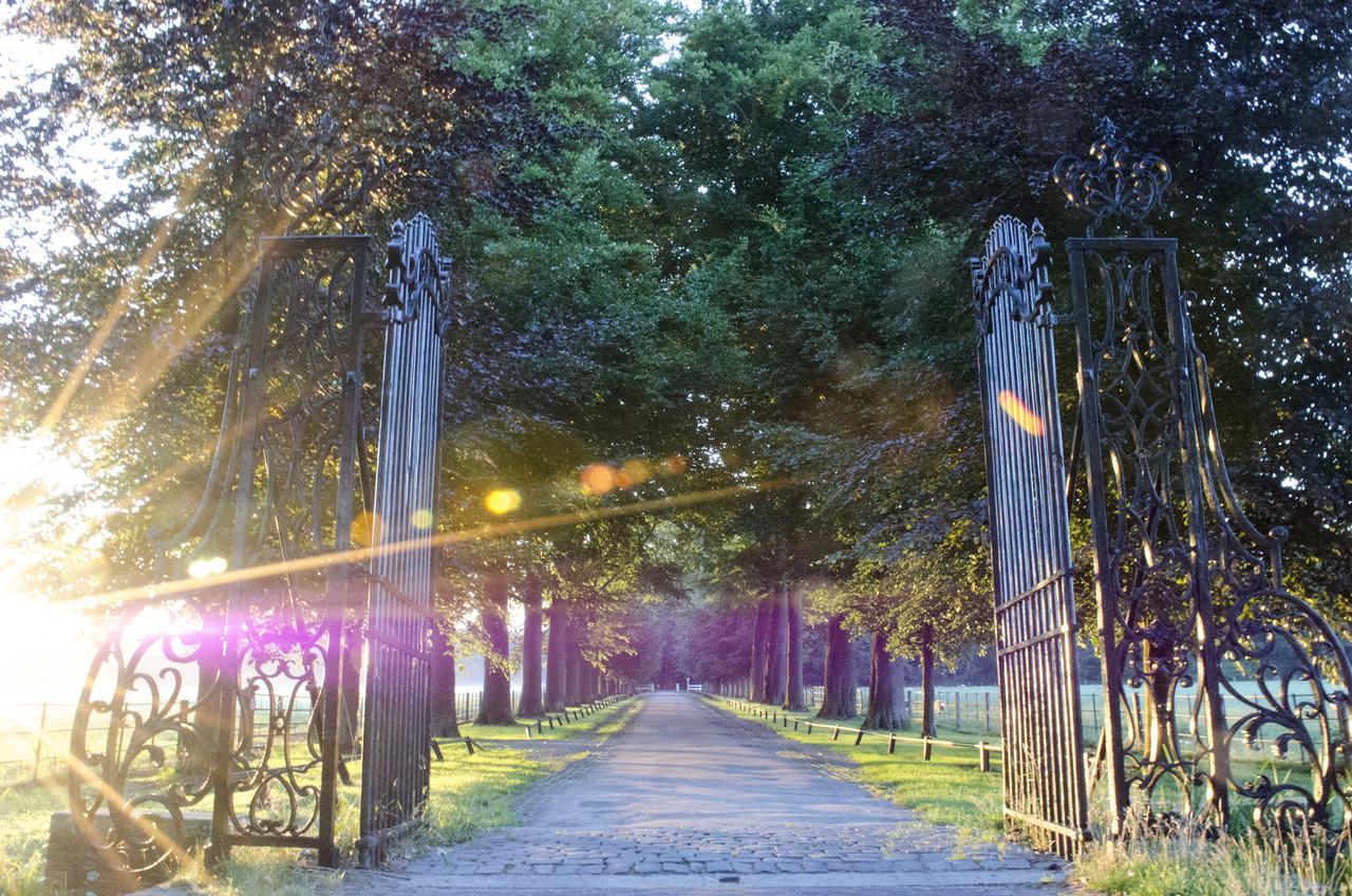 Art+Bed And Breakfast 's-Graveland 외부 사진